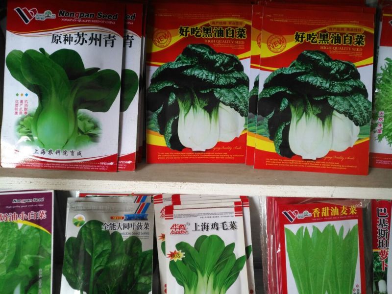 黄瓜种子98%以上
