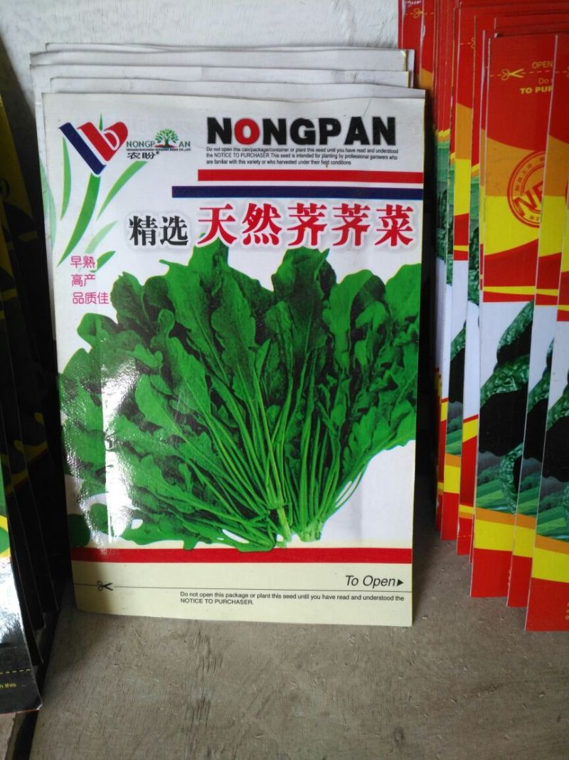黄瓜种子98%以上