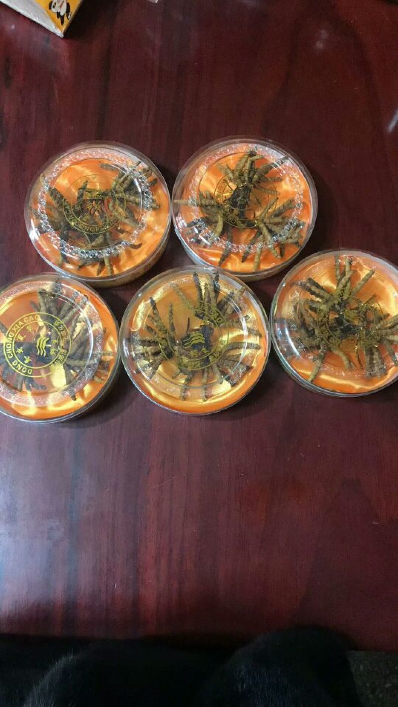 冬虫夏草散装干货各种规格10克起包邮