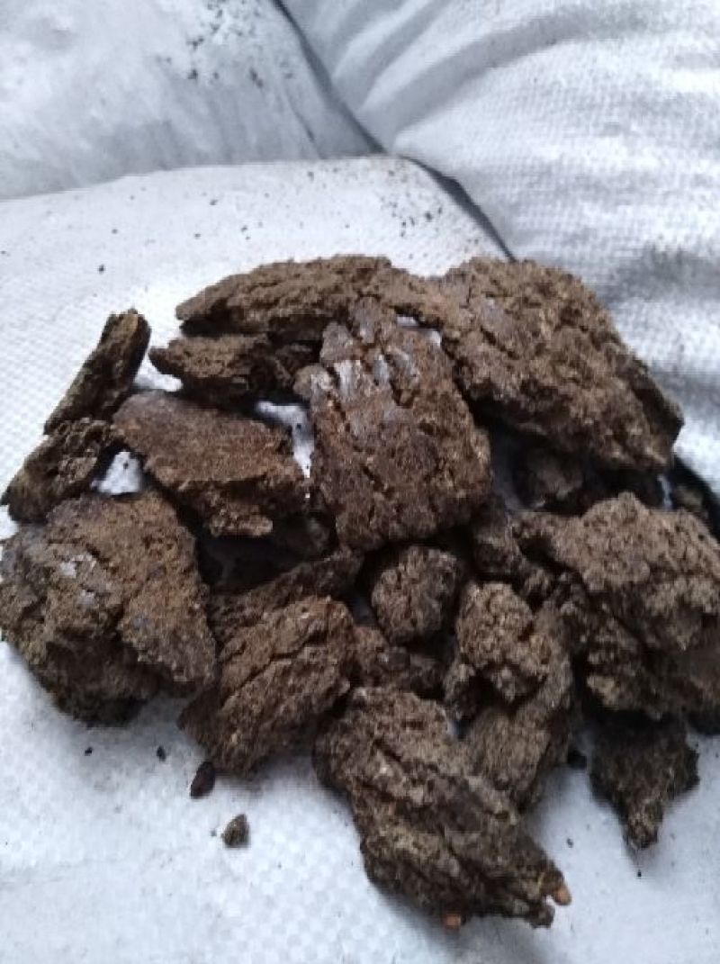 蓖麻饼