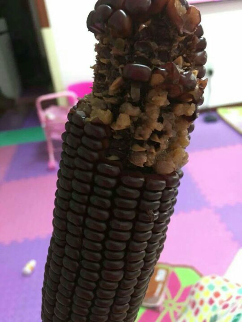 黑玉米种子93%