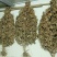 黄豆种子