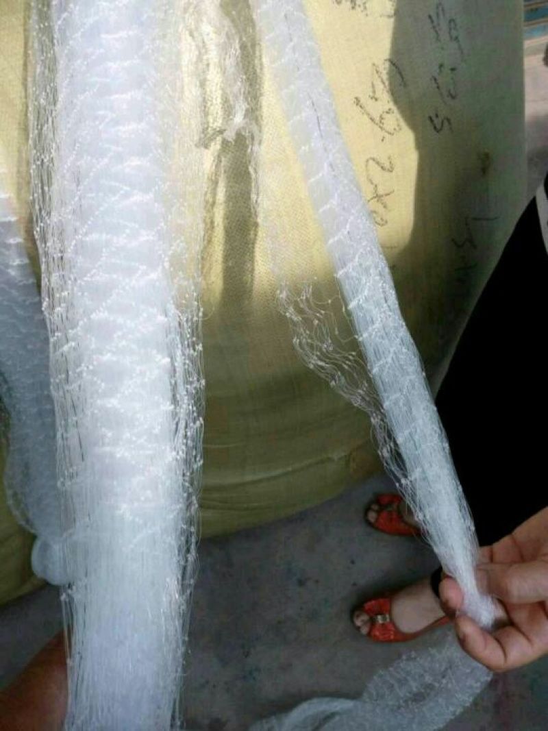 防鸟网