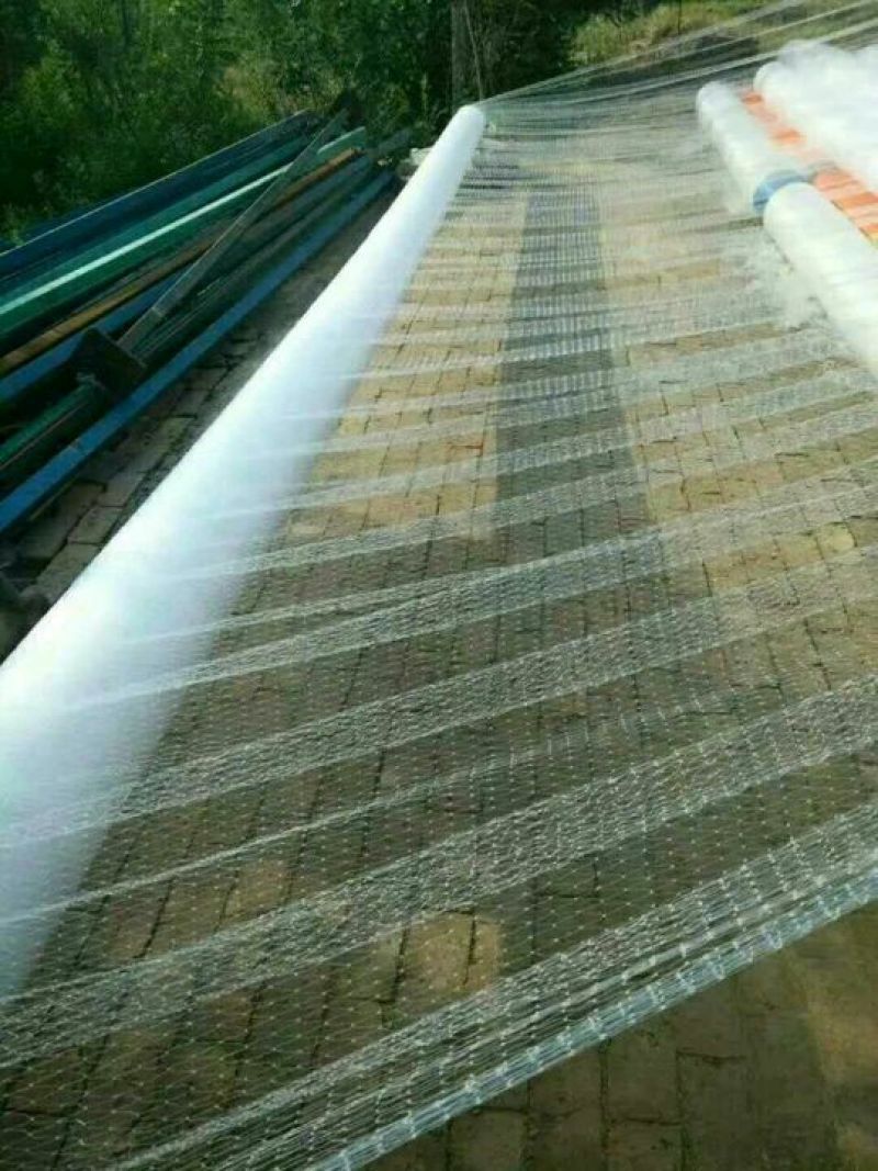 防鸟网