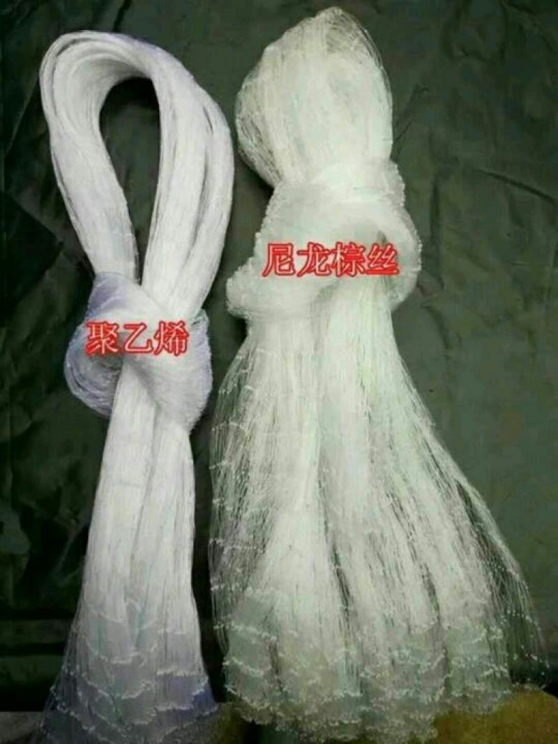 防鸟网