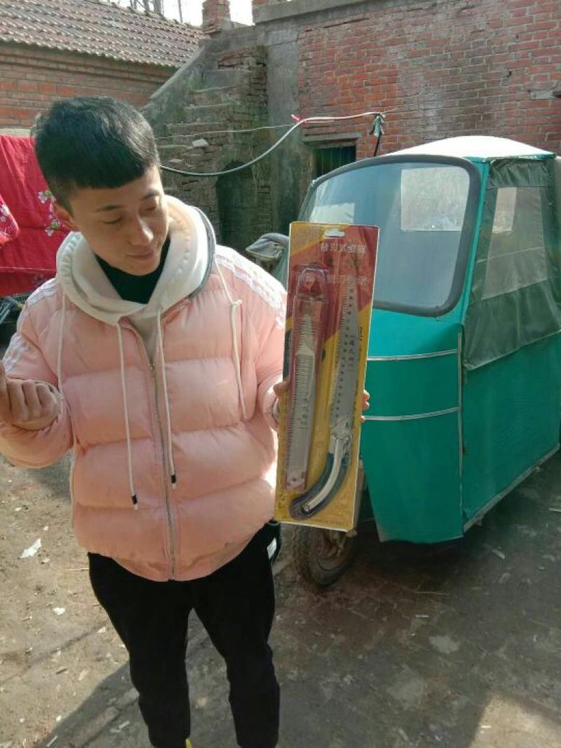 修枝锯