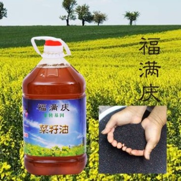 包邮压榨纯菜油一级甘肃优质菜籽油食用油优质