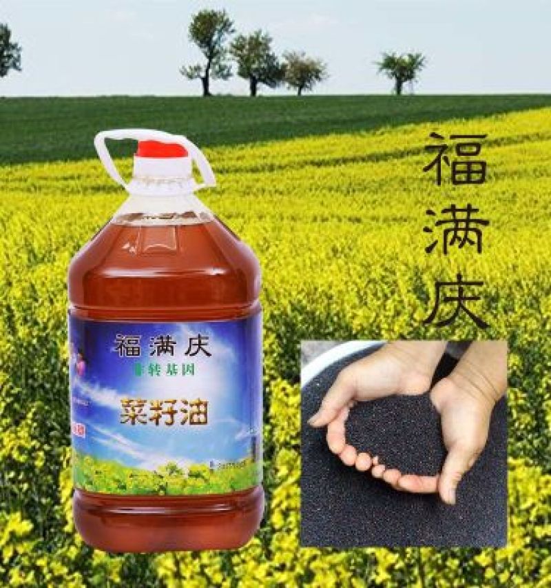 包邮压榨纯菜油一级甘肃优质菜籽油食用油优质