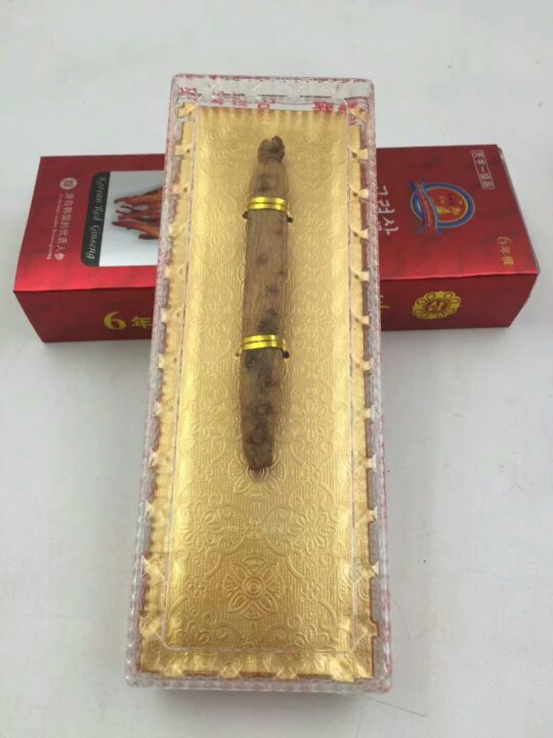 高丽参