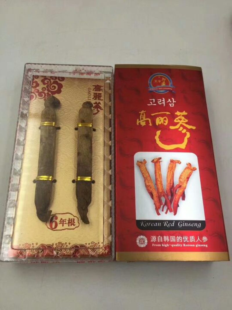 高丽参