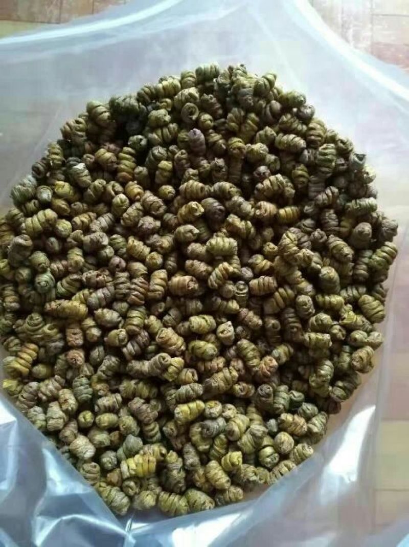 雁荡山铁皮石斛枫斗大中小颗粒