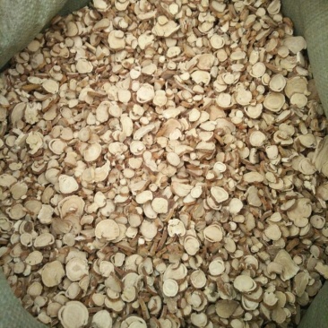 苦参长期供应大货各种规格饮片厂药厂兽药厂