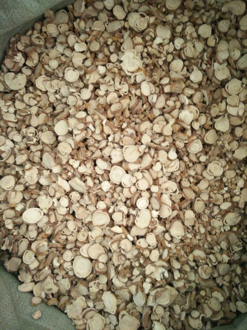 苦参长期供应大货各种规格饮片厂药厂兽药厂