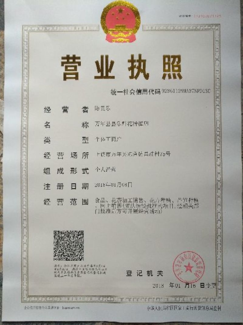 金丝皇菊茶特级