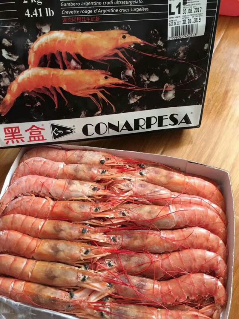 进口冷冻阿根廷红虾L1