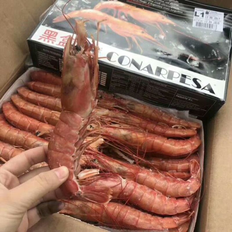 进口冷冻阿根廷红虾L1