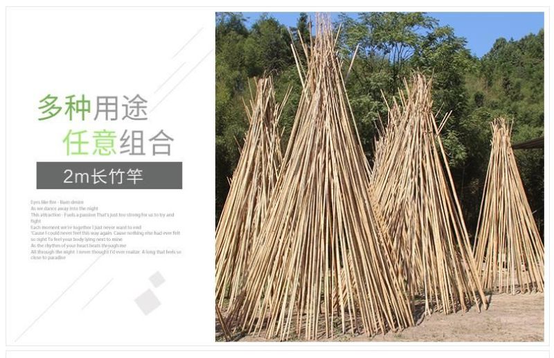 竹竿