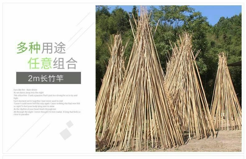 竹竿