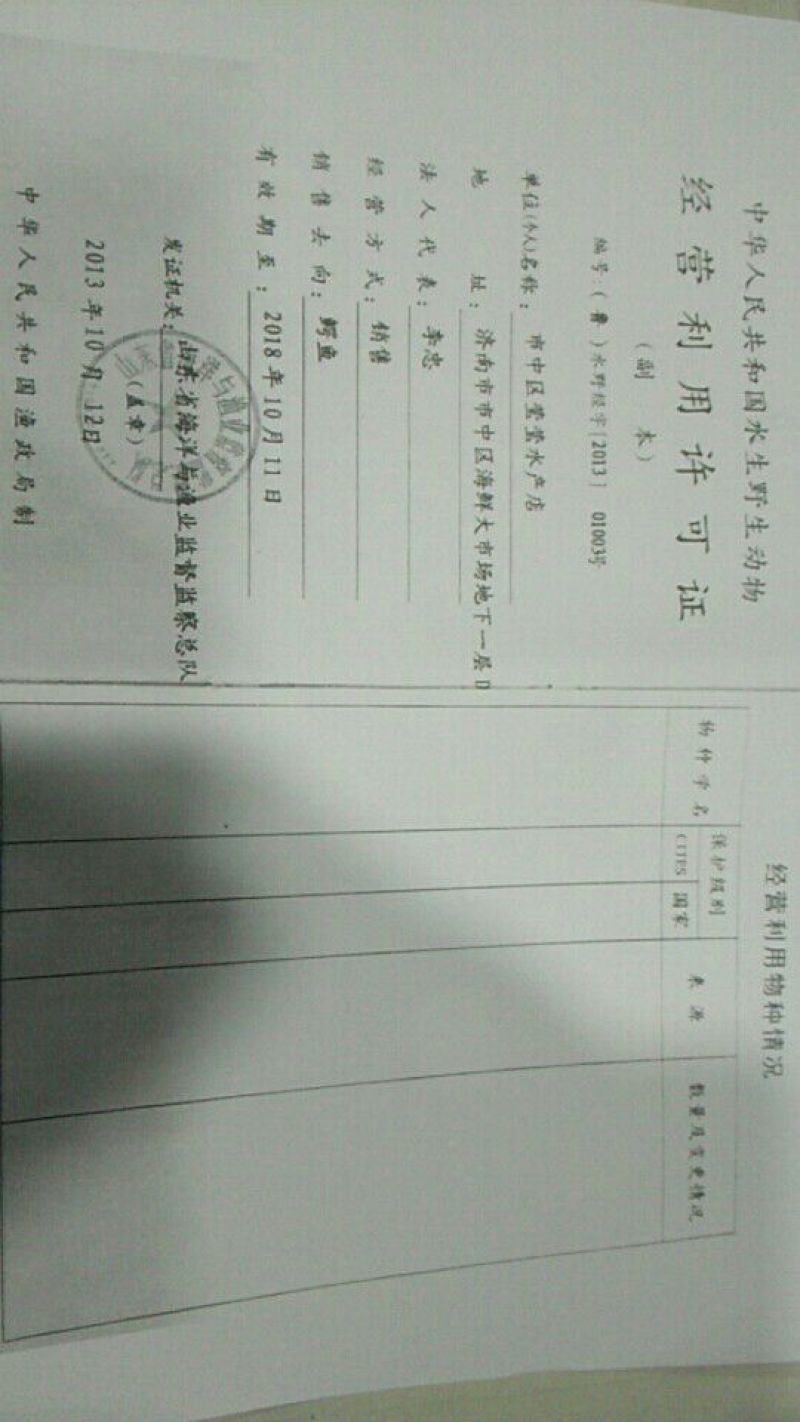 生态甲鱼2.5~3斤
