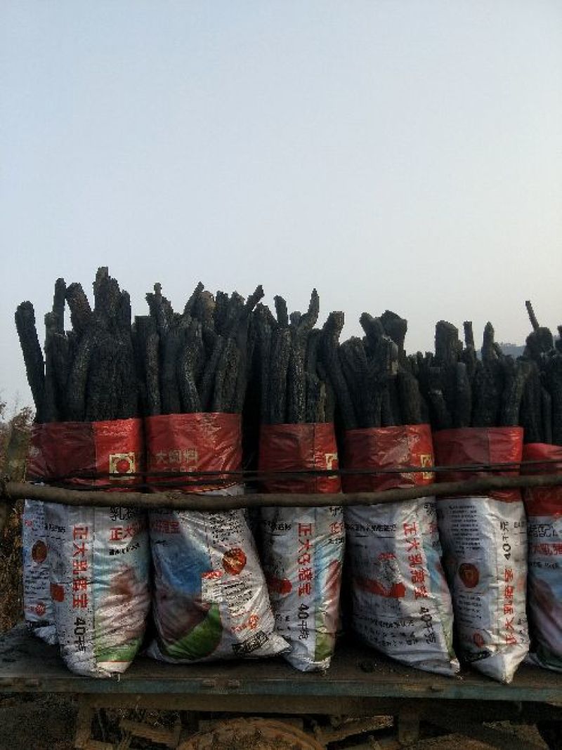 木炭95%以上栎木炭