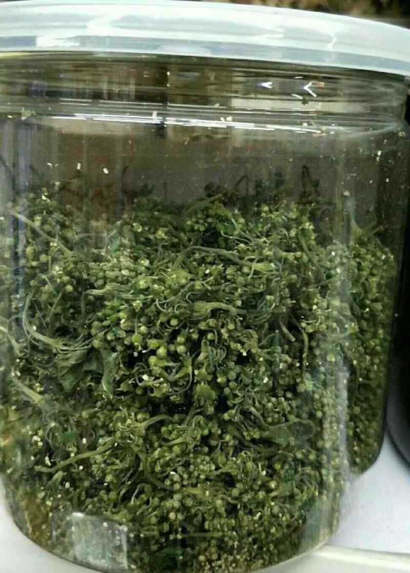 人参花长白山六年生人参花六罐一件包邮产地直供