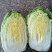 【精品】云南黄心白菜4~5斤保质保量产地直发量大从优