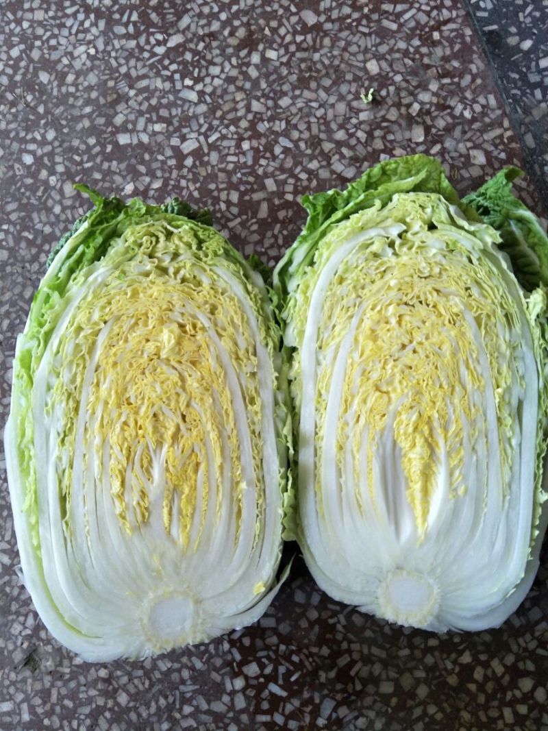 【精品】云南黄心白菜4~5斤保质保量产地直发量大从优