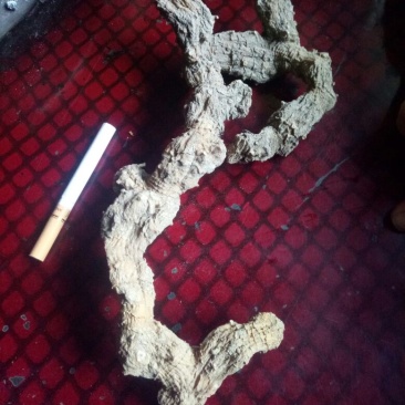 黄精甜统个