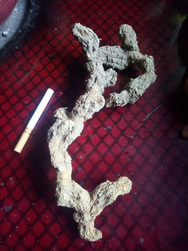 黄精甜统个