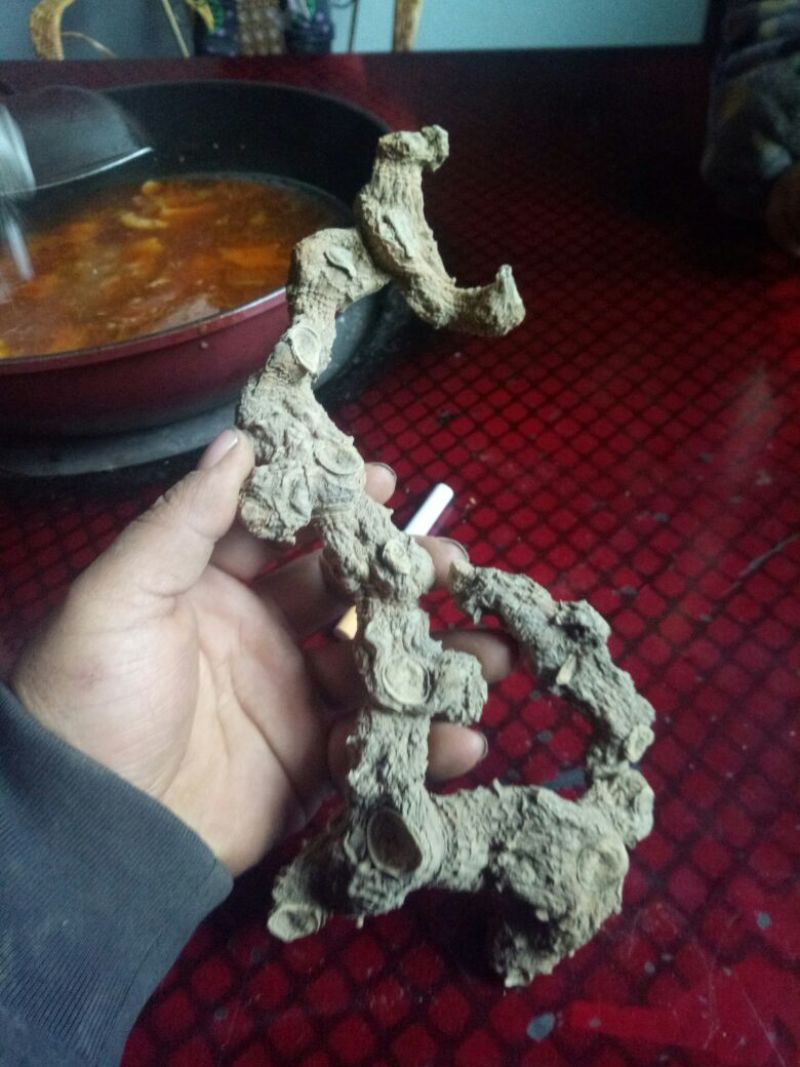 黄精甜统个