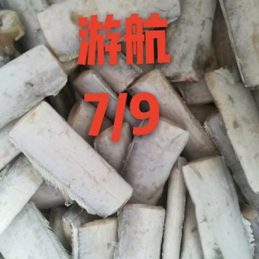 刀鱼食用冻鱼