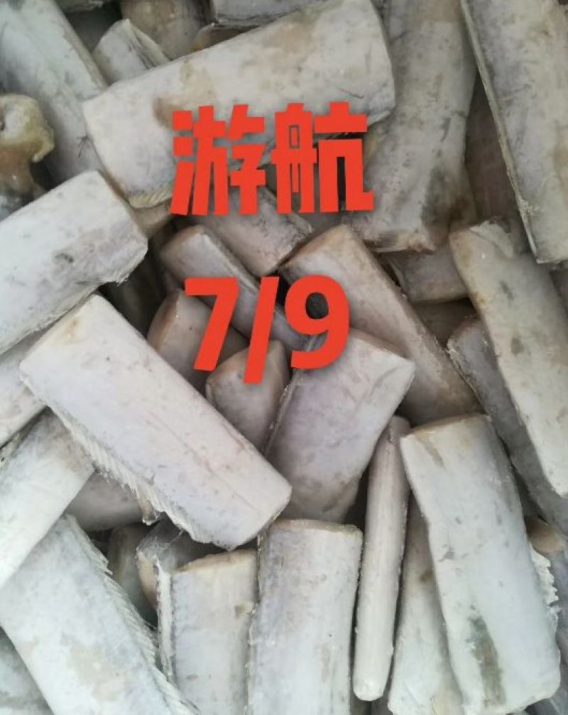 刀鱼食用冻鱼