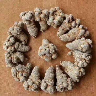 热卖款云南特产各种规格三七打的一一一一三七粉