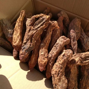锁阳秋季完整锁阳阿拉善荒漠锁阳一斤包邮泡酒泡茶料
