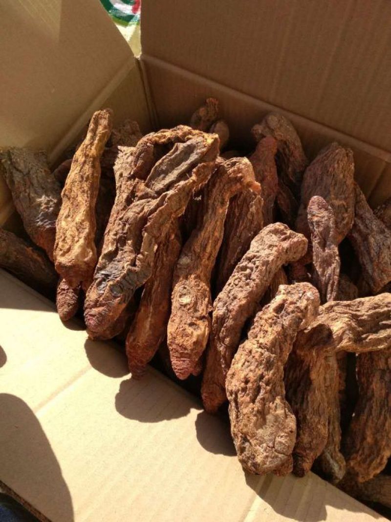 锁阳秋季完整锁阳阿拉善荒漠锁阳一斤包邮泡酒泡茶料