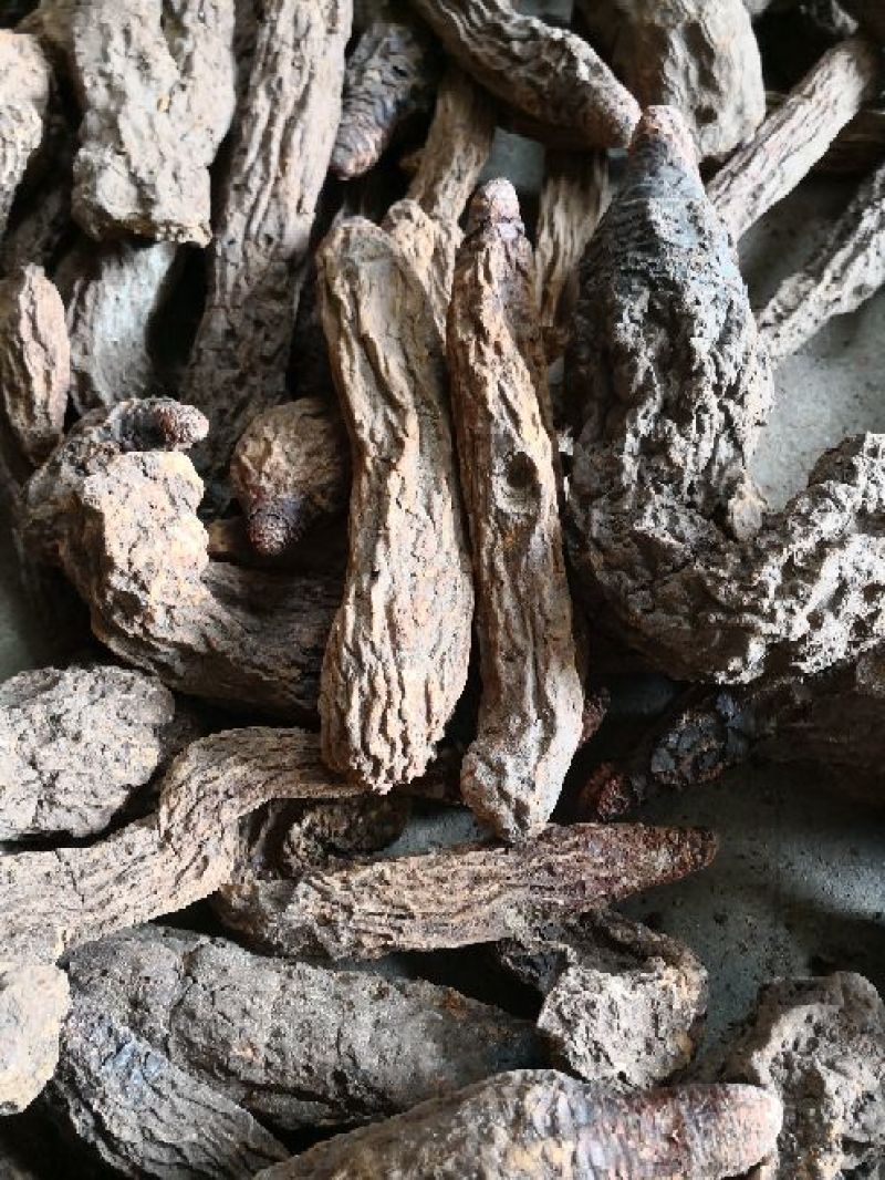 锁阳秋季完整锁阳阿拉善荒漠锁阳一斤包邮泡酒泡茶料
