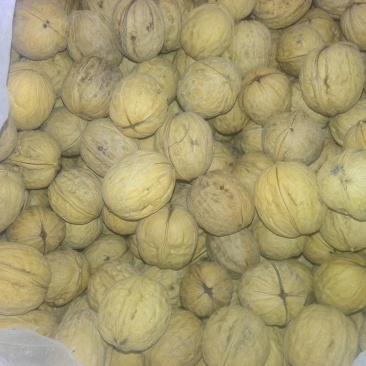 薄皮核桃30~35mm去皮干