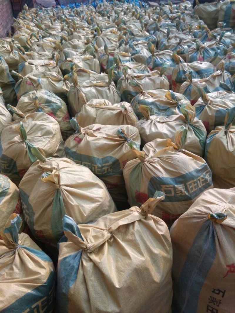 红薯3两以上商品薯白心