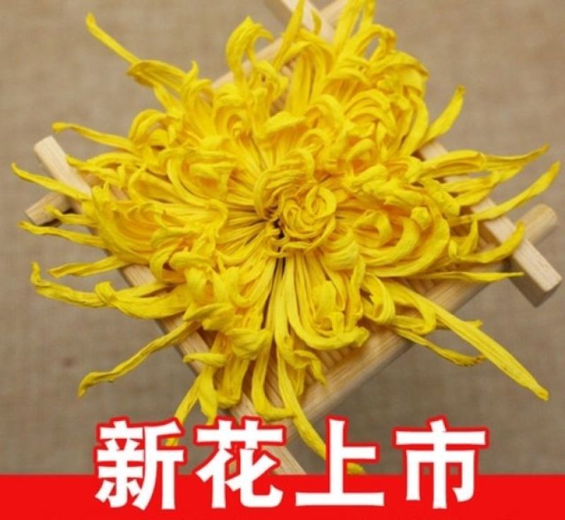金丝皇菊茶特级
