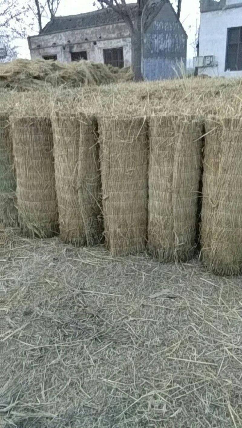 草苫子