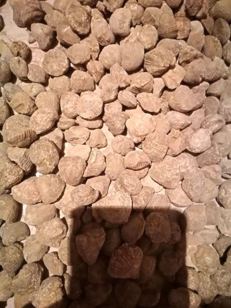 毛石