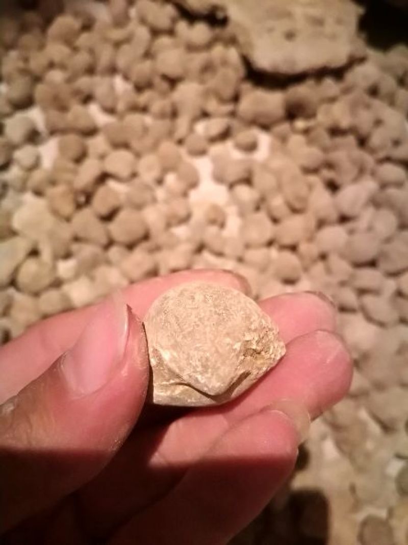 毛石