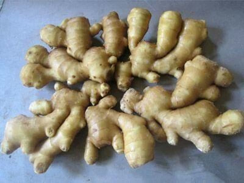 生姜大黄姜，小黄姜，面姜