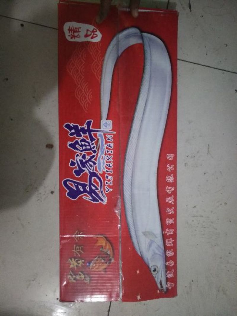刀鱼食用冻鱼