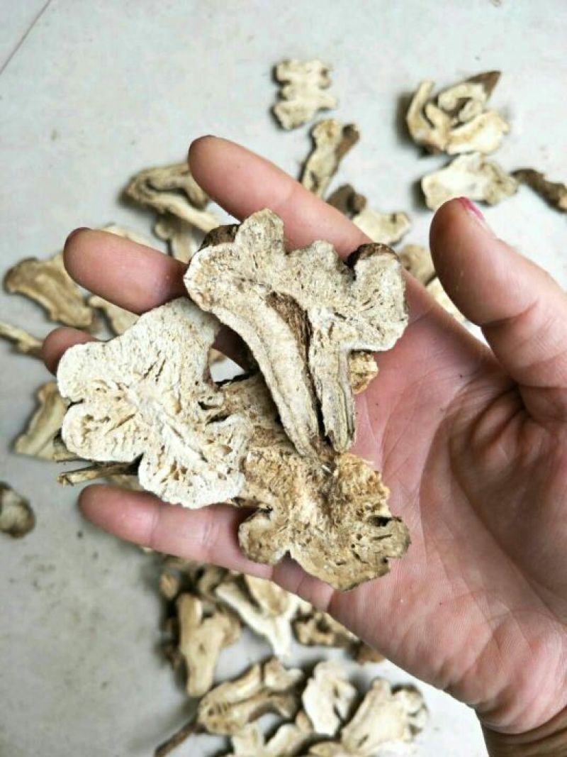 白术片10~15g