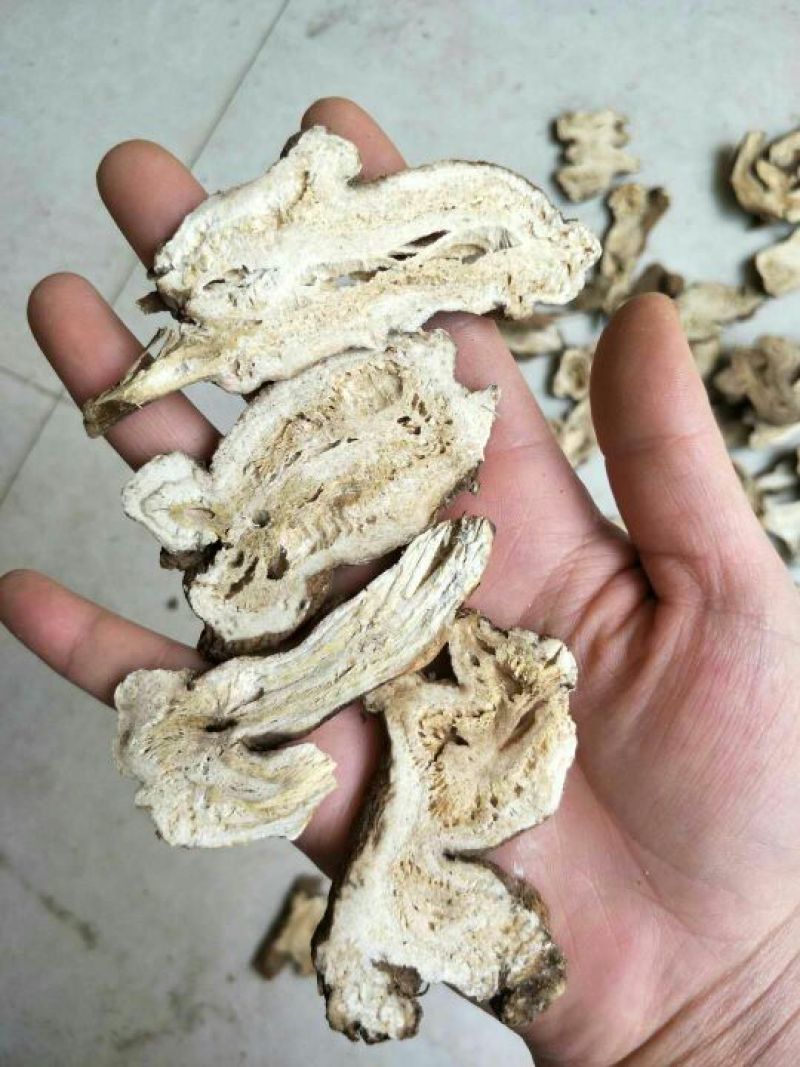 白术片10~15g