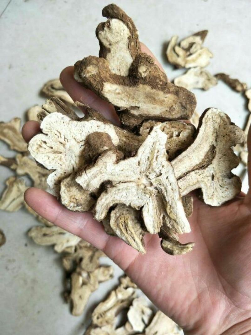白术片10~15g