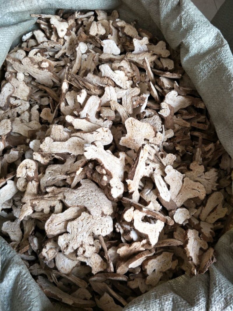 白术片炒白术片