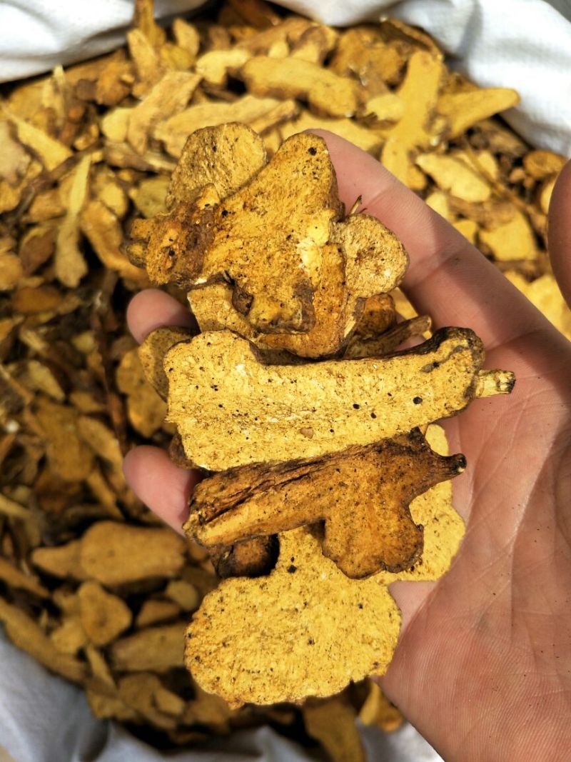 白术片炒白术片