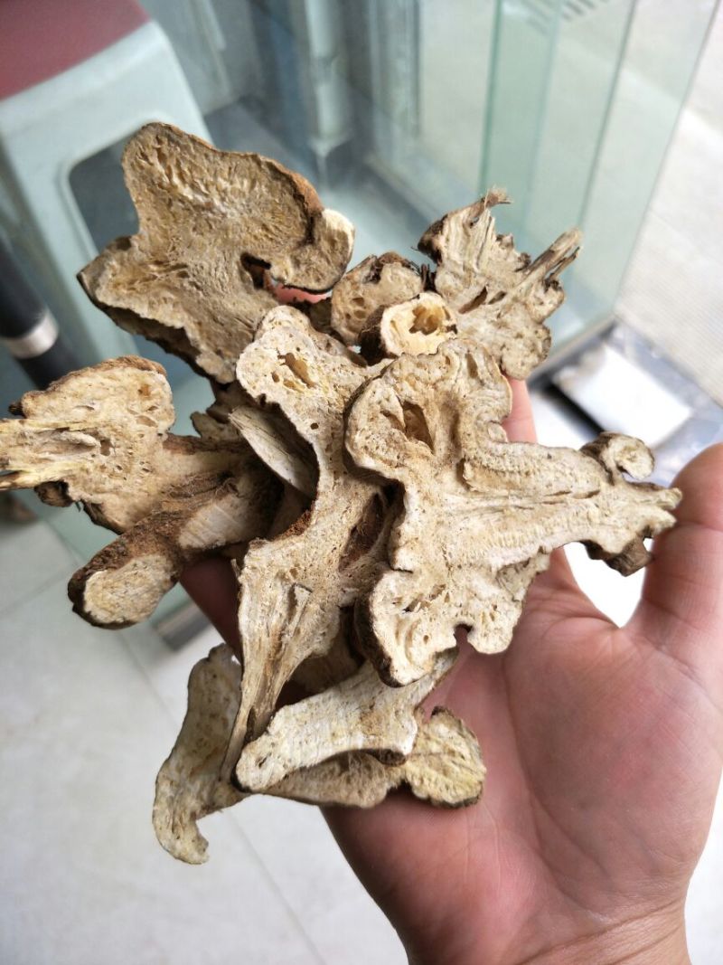 白术片炒白术片